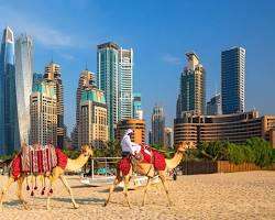 تجربة ركوب الجمال والسفاري في صحراء دبي