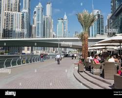 كافيهات مارينا دبي بإطلالة مباشرة على البحر واليخوت