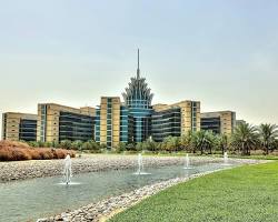 مرافق وخدمات في منطقة السيليكون دبي مثل المدارس والمتاجر