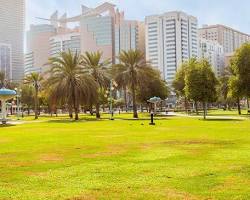 مساحات خضراء شاسعة في إحدى حدائق دبي العامة تظهر فيها العائلات تستمتع بالأجواء الطبيعية والهدوء.