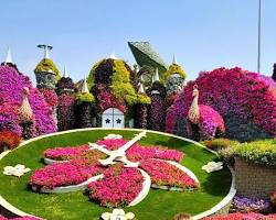 جولة ممتعة داخل إحدى حدائق دبي الترفيهية العالمية التي تضم ألعاباً وعروضاً عائلية مذهلة.